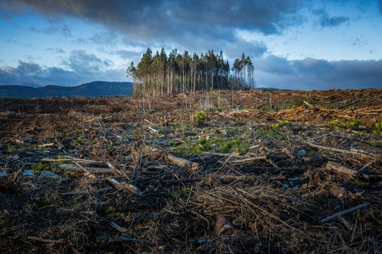 11/10 COP26：停止砍樹、退煤、降甲烷，噢還有氣候融資！