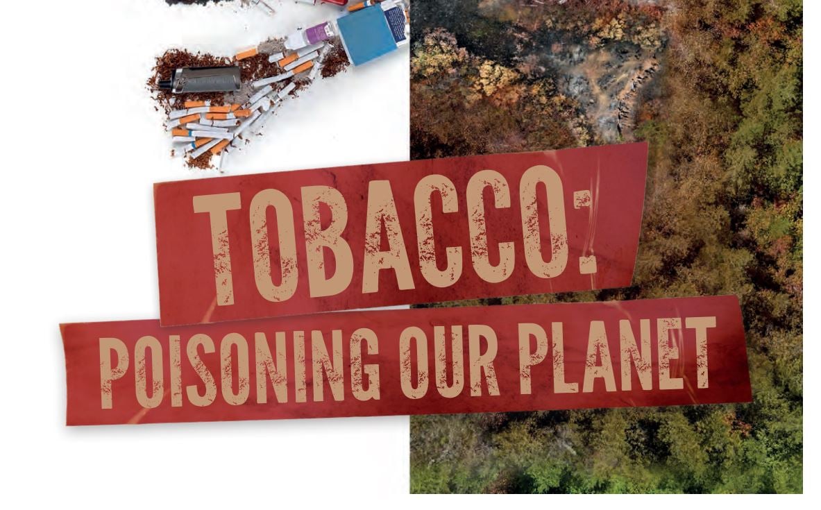 6/2 一個廢棄菸頭可以汙染100升的水！從WHO報告看菸草業如何毒害地球